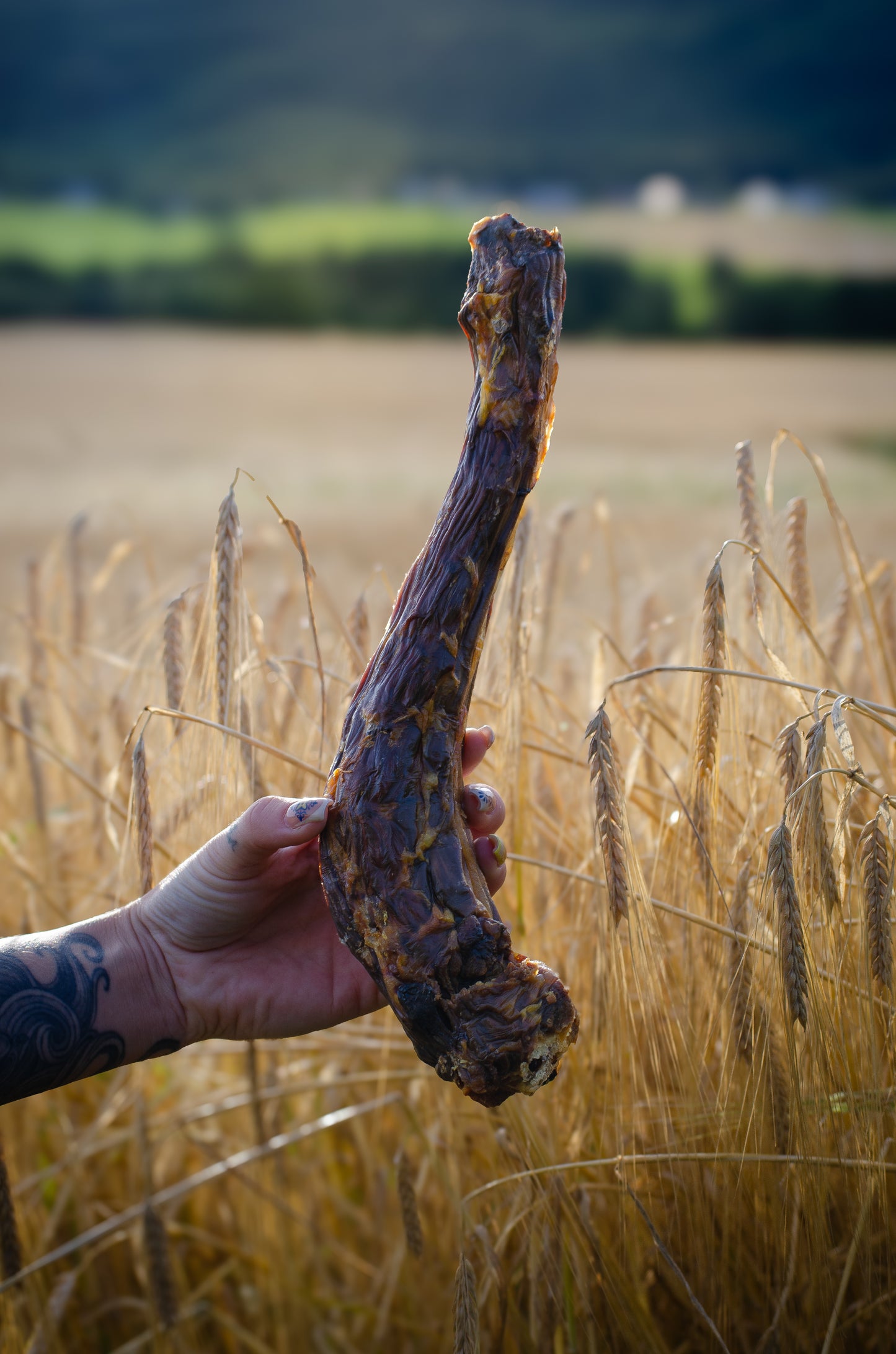 Kalkonhalsar – Sprött, smakrikt och supergott