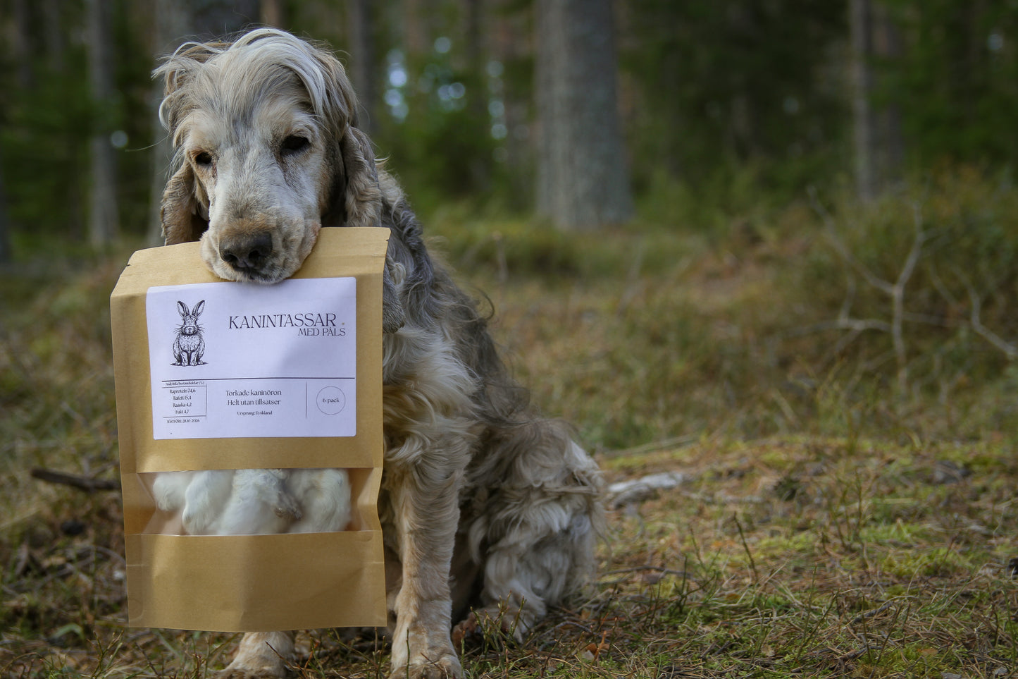 Torkad Kanintass – Naturligt snacks och aktivering i ett!