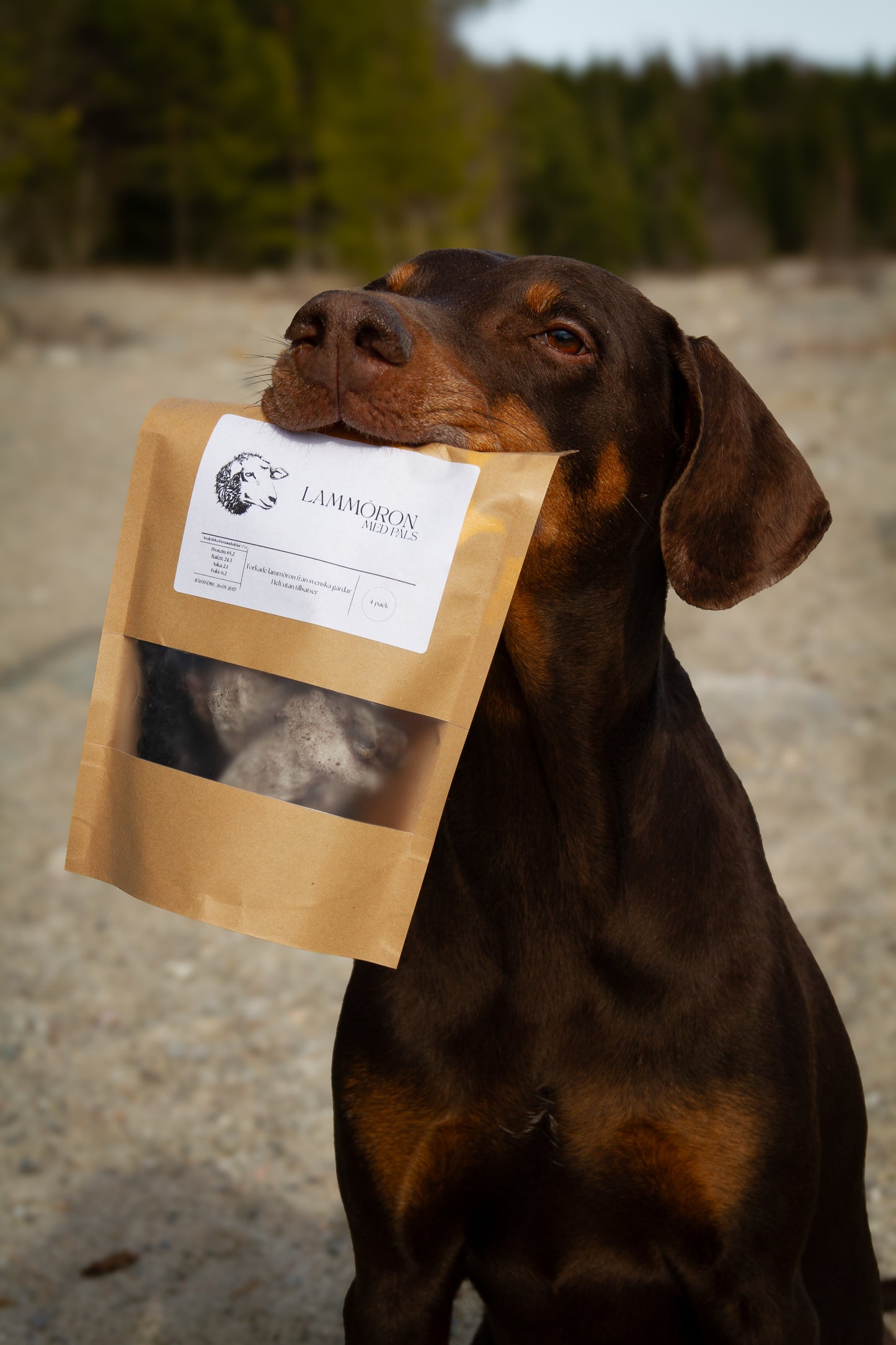 Lammöron med Päls – Naturligt tugg som främjar magen