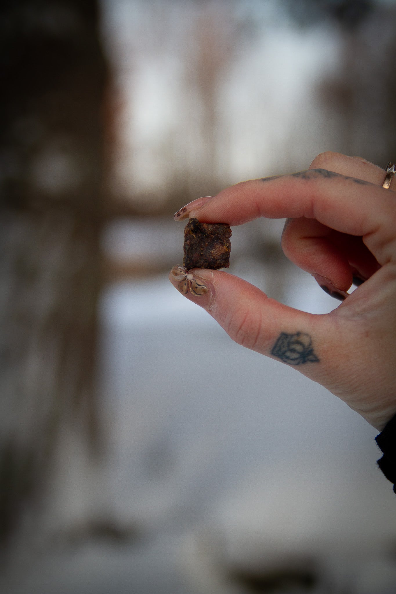 Tärnat rådjurskött – naturligt, smakrikt och proteinrikt hundgodis