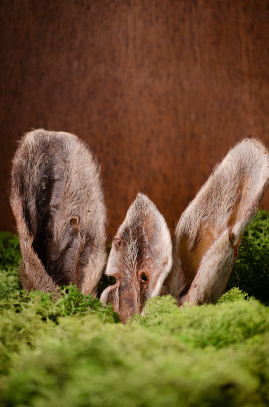 Lammöron med Päls – Naturligt tugg som främjar magen