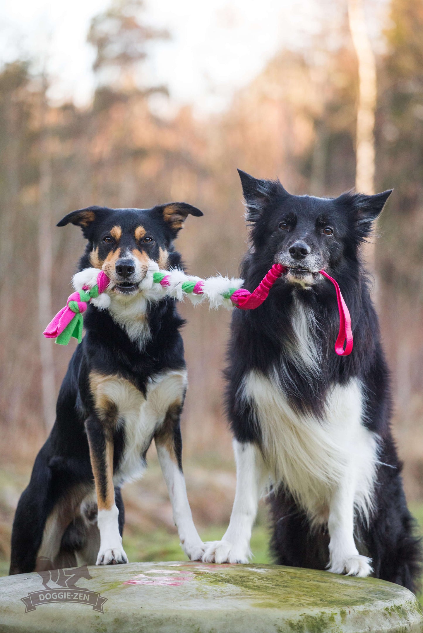 Bungee Fleece ’n Kanin Braid M