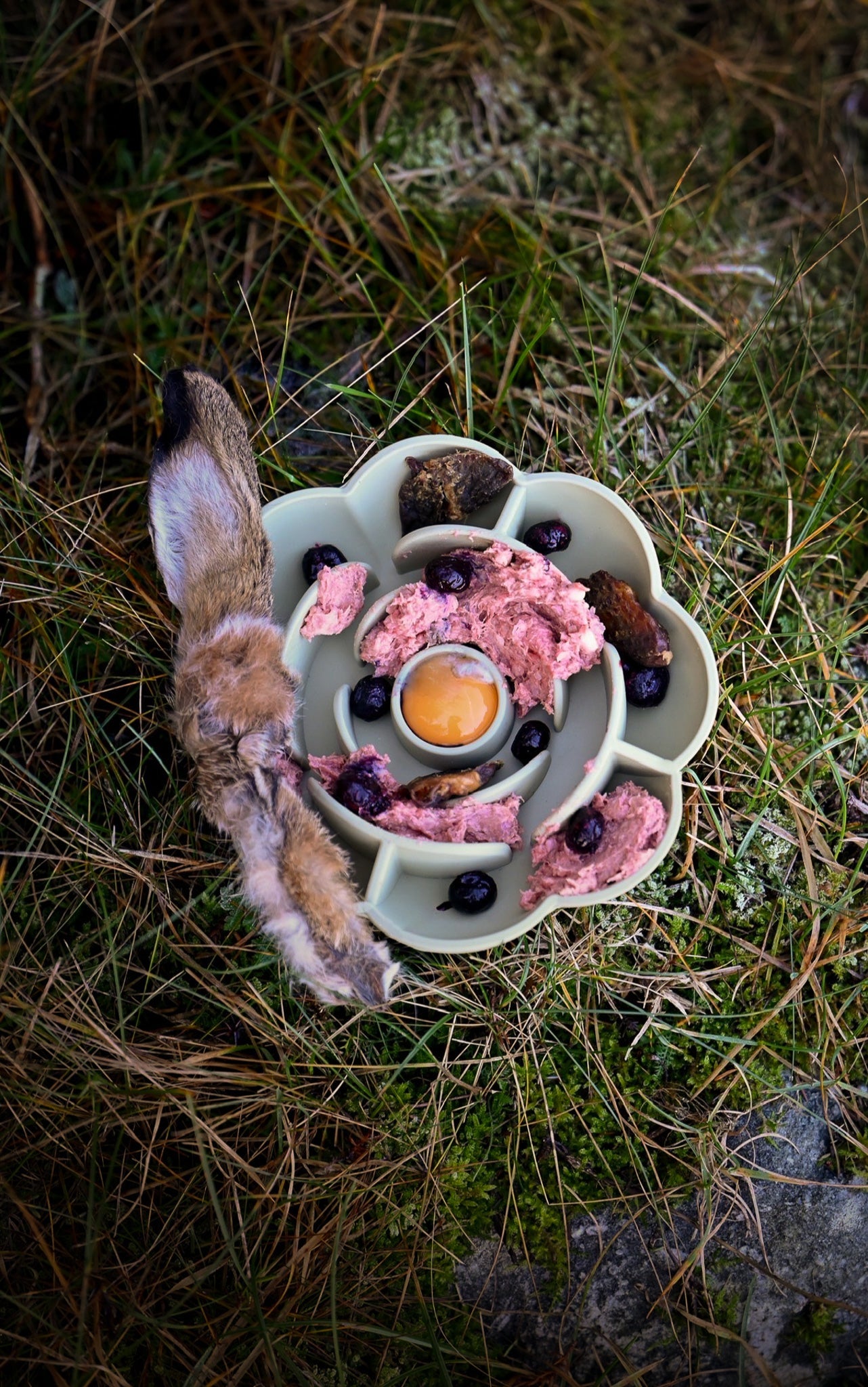 Topping till matskålen