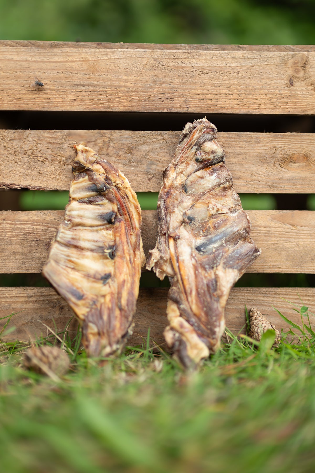 Lammrevben – smakrikt och skonsamt naturtugg från Sverige