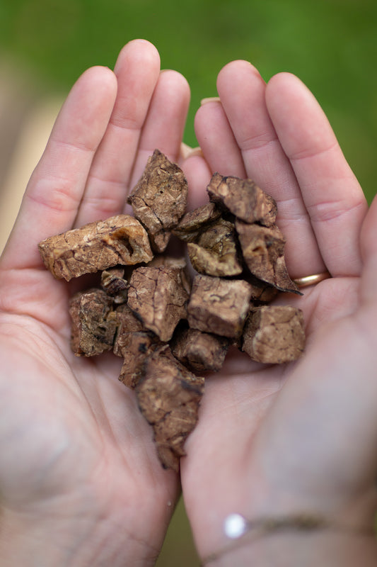 Tassafritts Lammlunga – ett naturligt, proteinrikt hundgodis