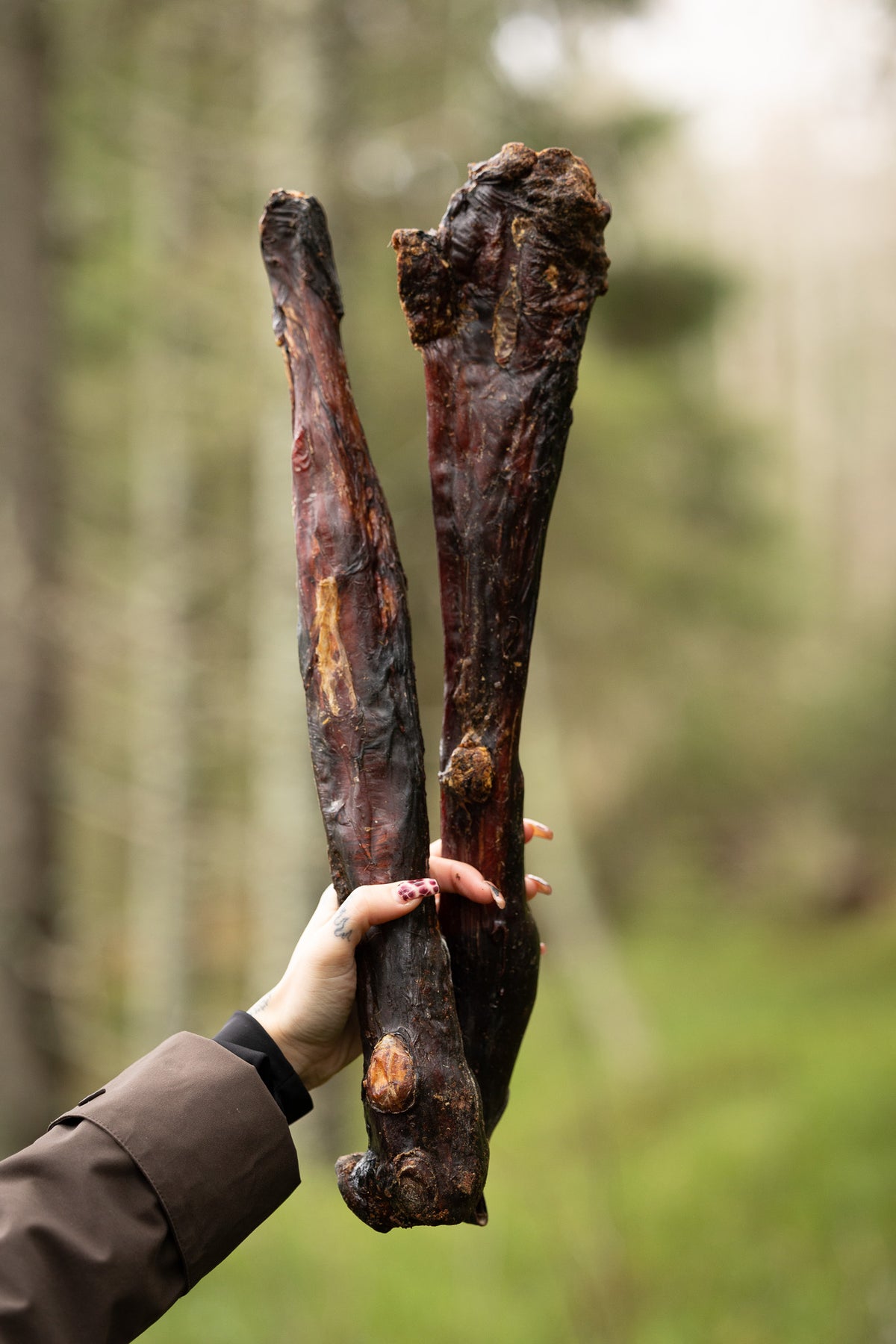 Hästmuskel hel – extra hårt och långvarigt naturtugg