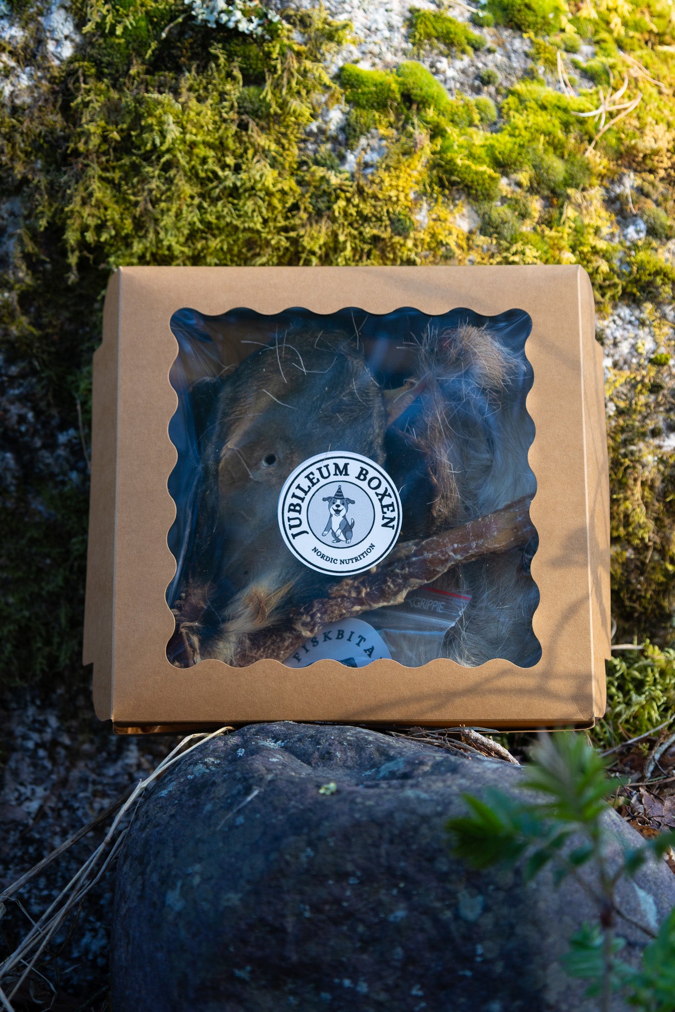 Jubileumsboxen – Limited Edition