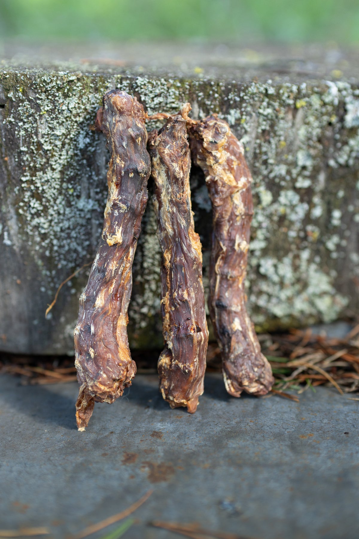 Torkad Ankhals från sverige – Krispigt & Smakrikt Hundsnacks