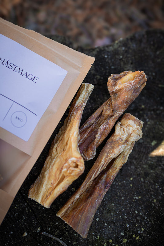 Hästmage – segt och smakrikt naturtugg för känsliga hundar