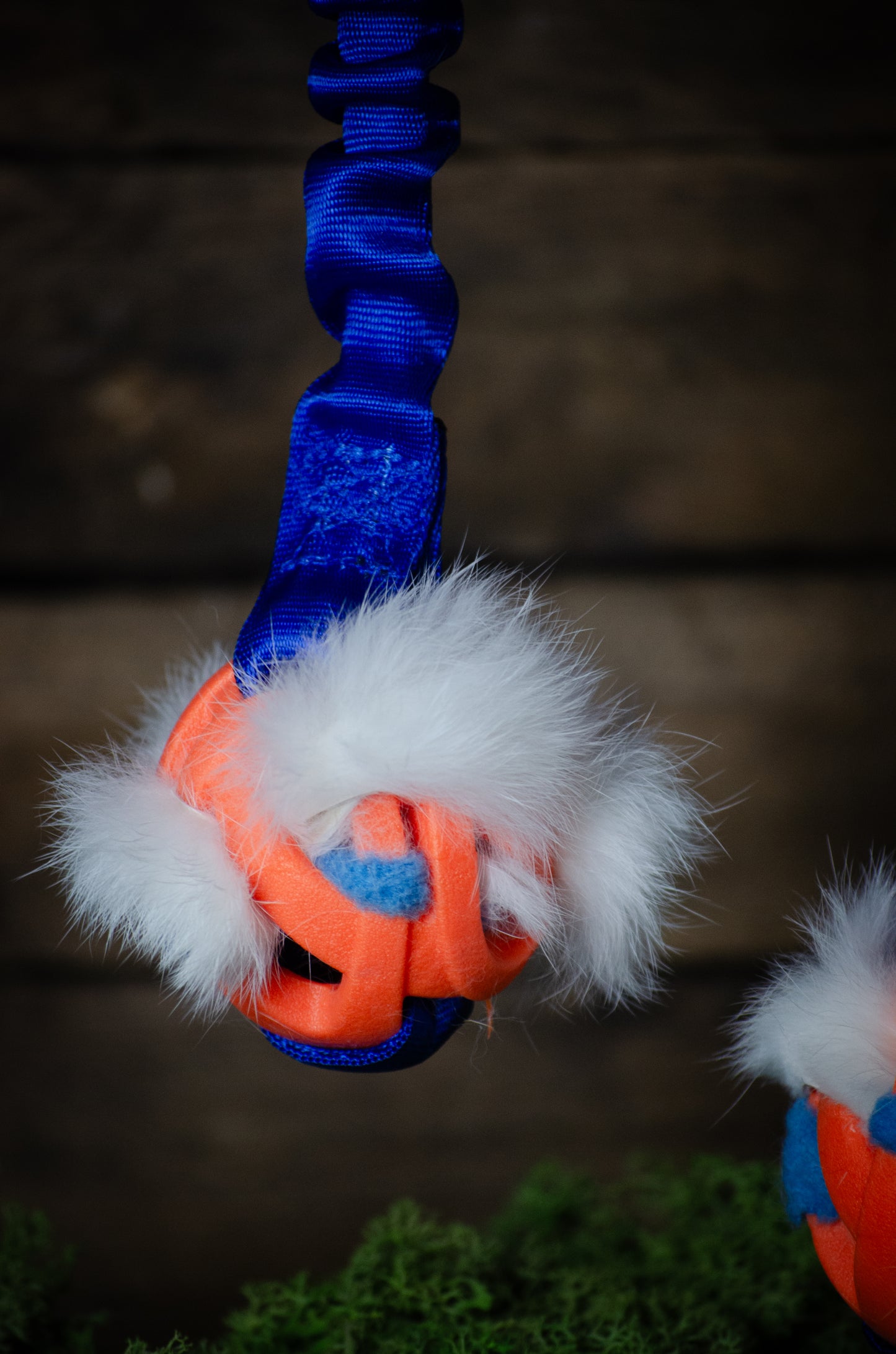 Bungee Chuckit Air L kanin