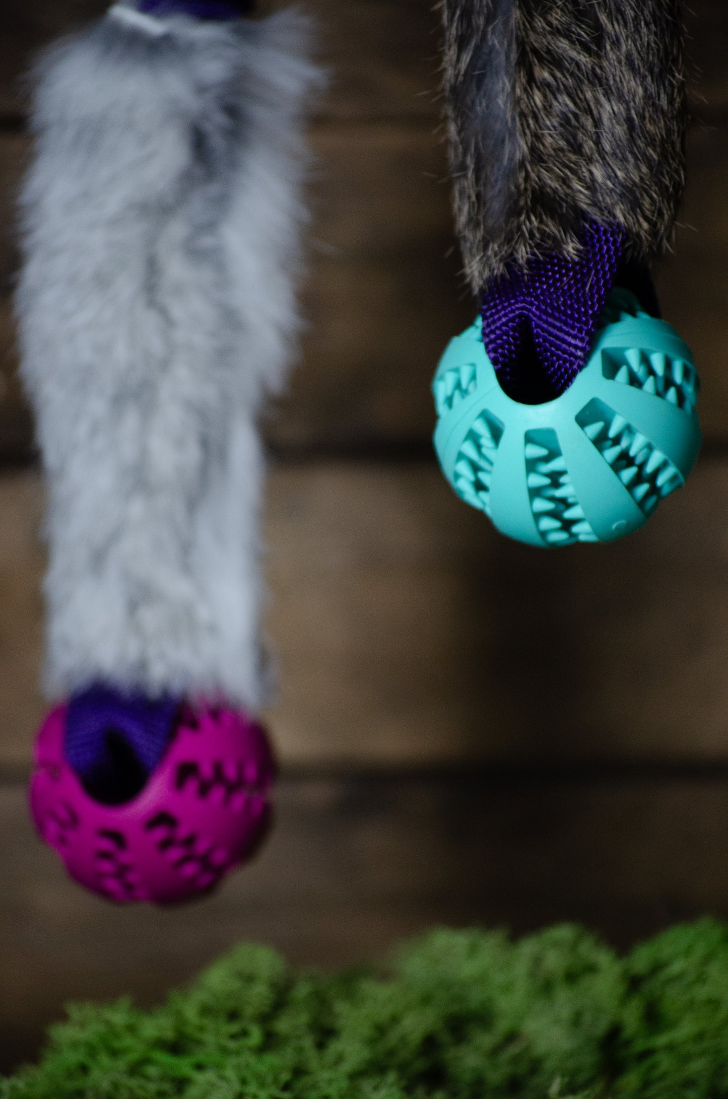 Ziva – träningsleksak med kaninskinn, boll & expanderhandtag