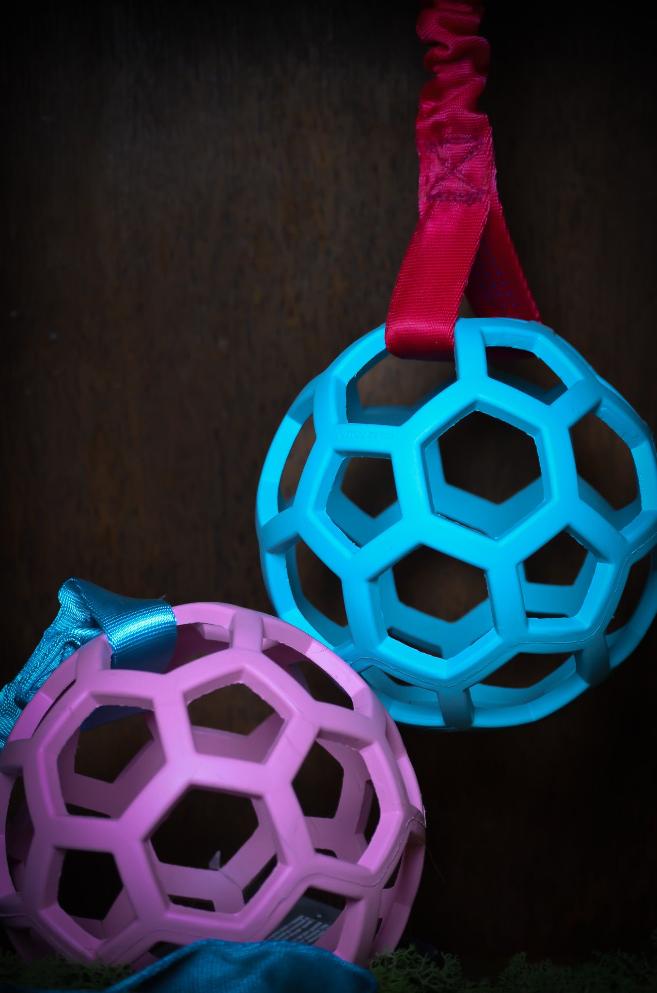 Bungee Hol-ee Roller