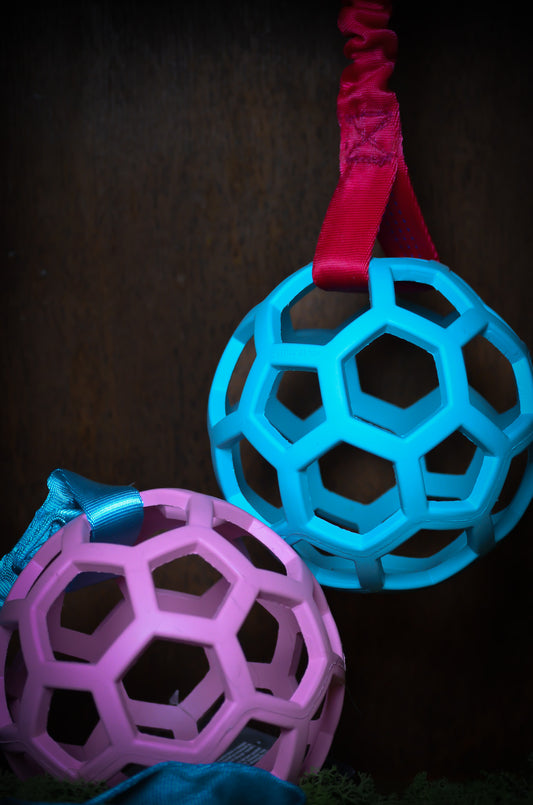 Bungee Hol-ee Roller