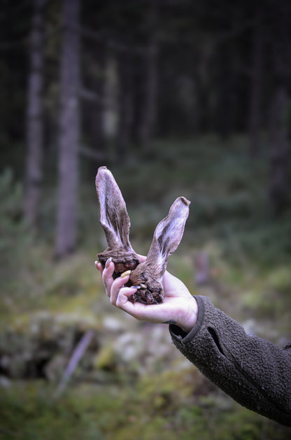 Svenska Hjortöron med päls – Naturligt, smakrikt och berikande tugg