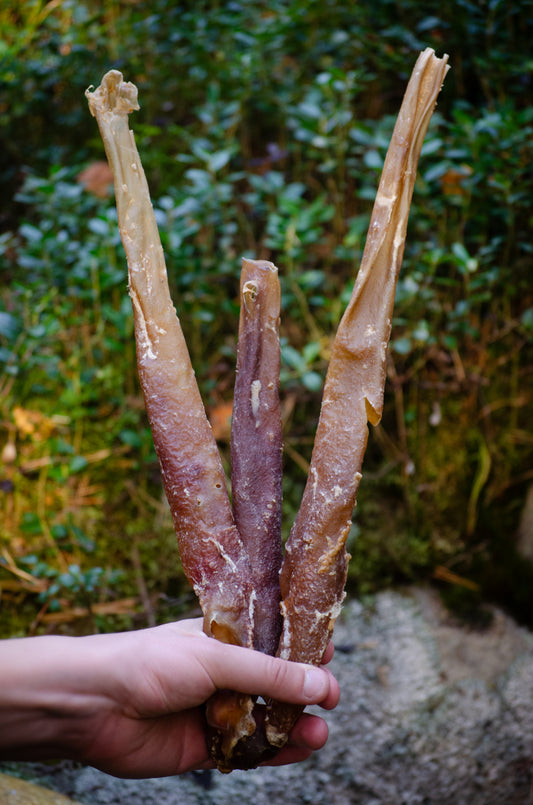 Hästaorta – Smakfullt tugg för nöjda hundar och friska munnar!