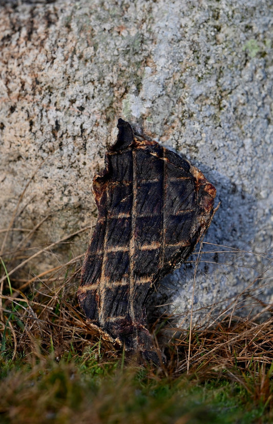 Torkat Hästkött – Skonsamt, Smakrikt och Allergivänligt Snacks