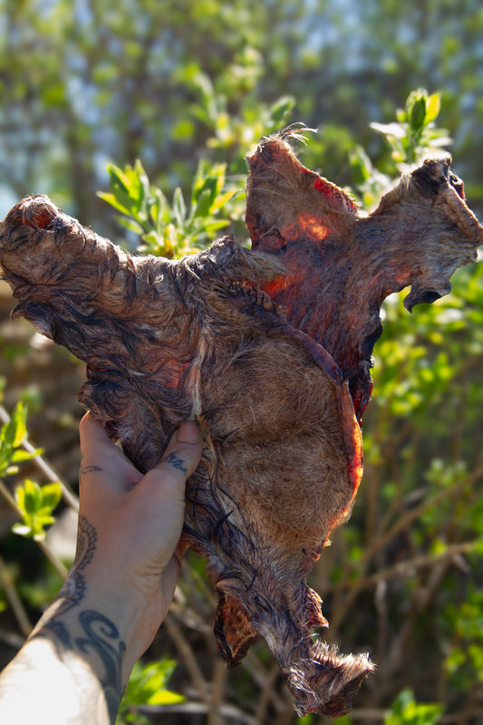 Oxkind med päls: Naturligt tugg med smak och doft hundar älskar