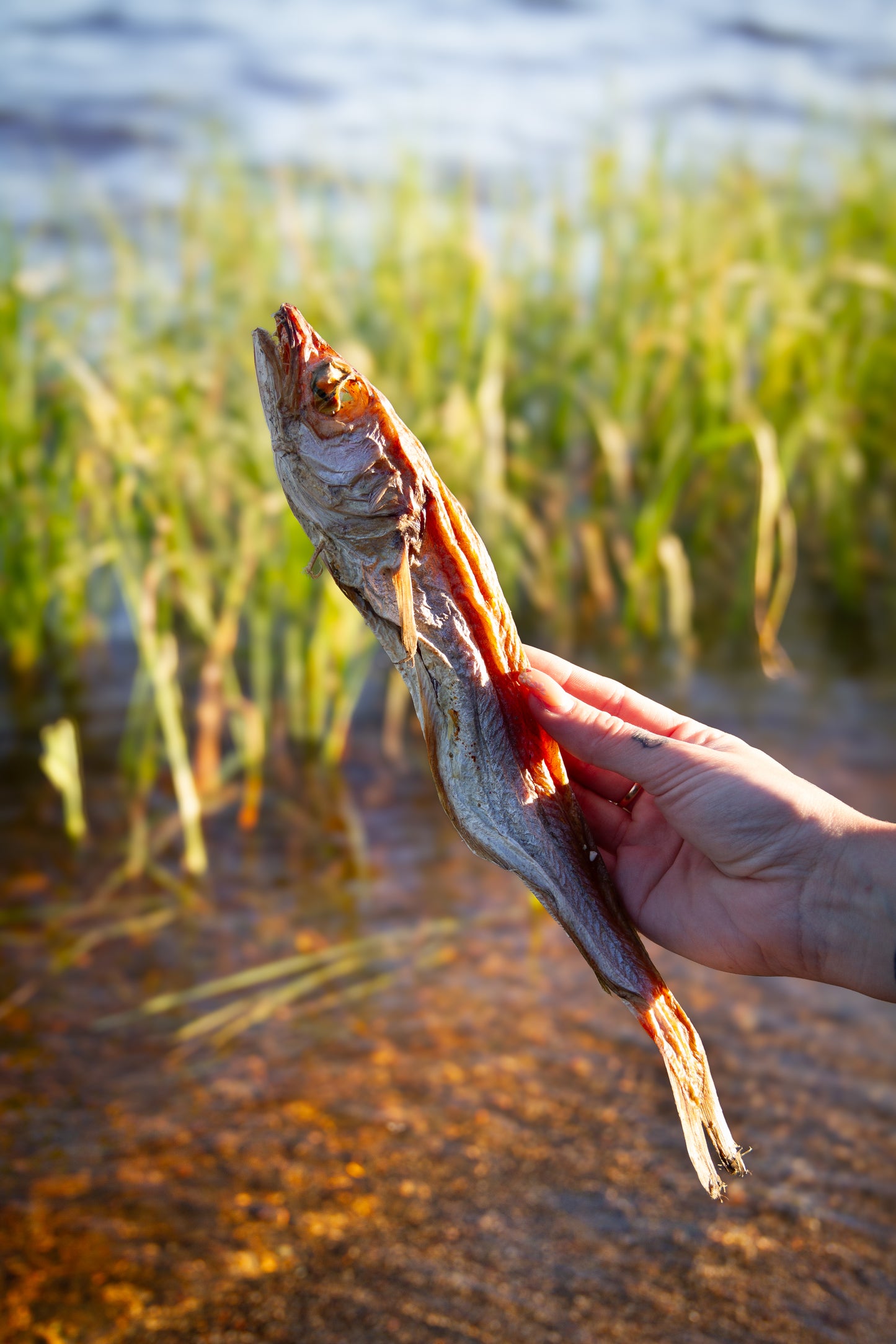 Torkad hel vitling – naturligt, näringsrikt och smakfullt