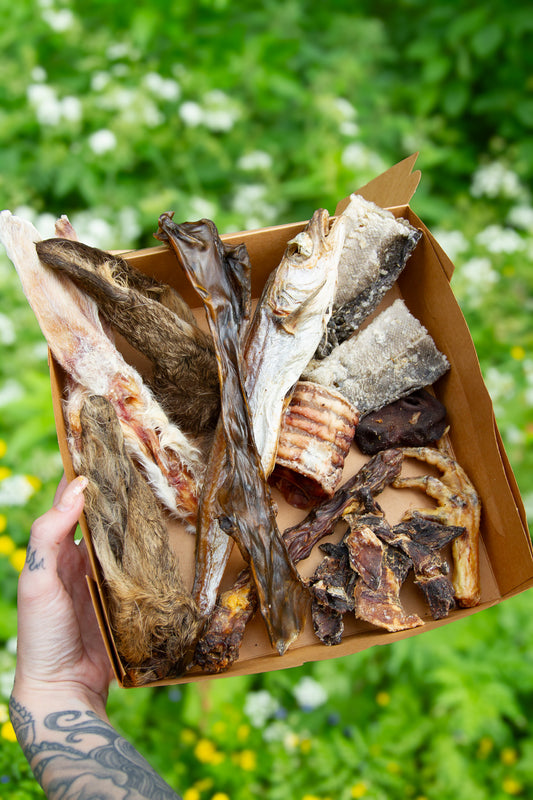 Sommarboxen