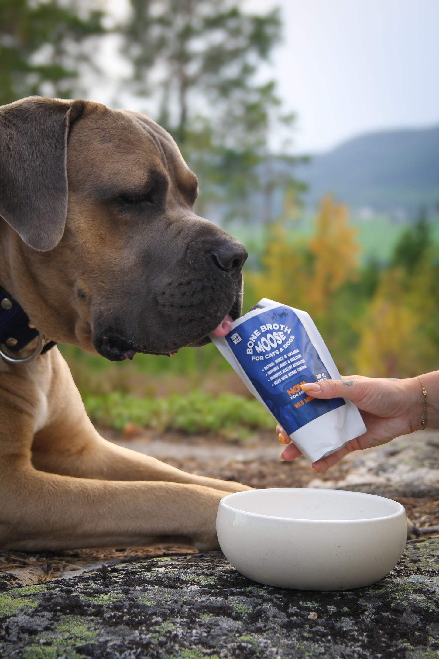 Benbuljong med Älg smak – Naturlig och Näringsrik