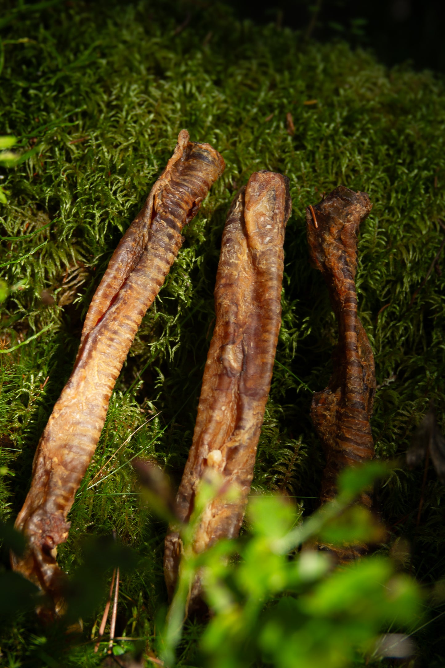 Hjortstrupar – Allergivänligt och fettsnålt hundsnacks