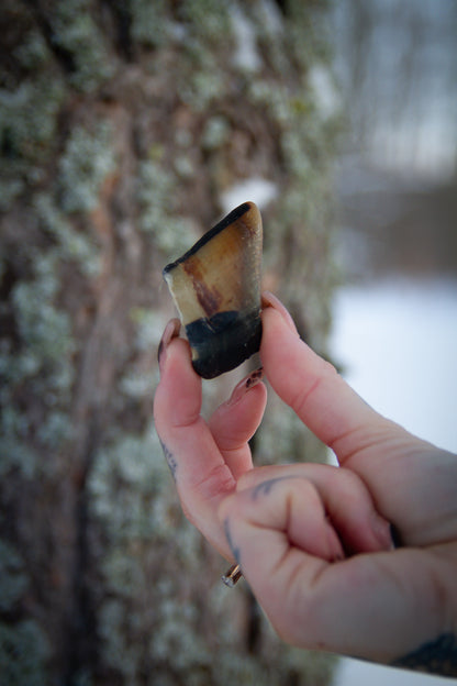 Lammhovar – hårt, naturligt tugg för hundar som vill jobba länge