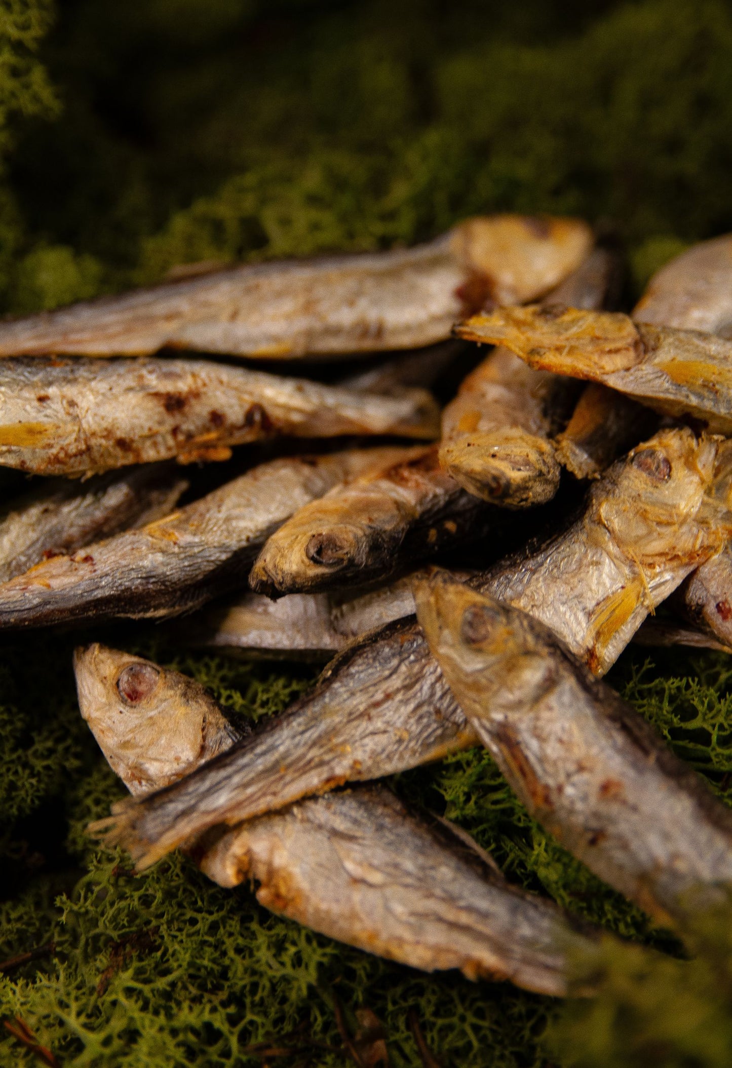 Skarpsill – Ett naturligt näringslyft med oemotståndlig smak!