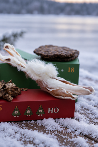 Nordic Nutritions Julkalender 2026