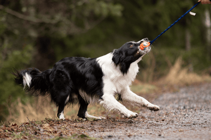 Bungee Chuckit Air L kanin