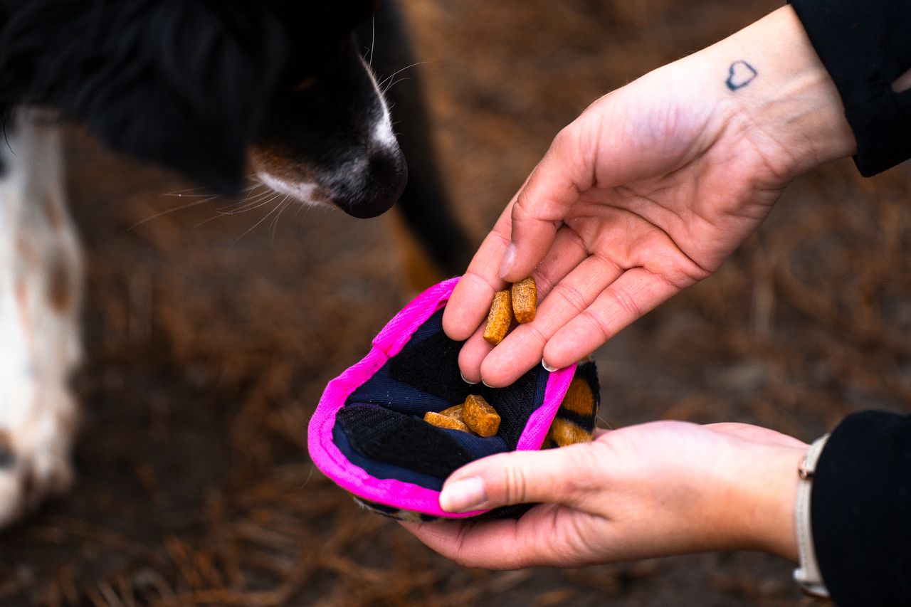 Treat ’n Crinkle Ball M – belöningsbollen som kombinerar mat, ljud & lek